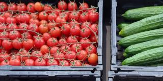 Paprikas, tomatoes and cucumbers stocked in black crates