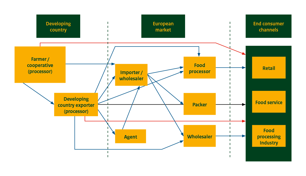 European market channels for dried mango