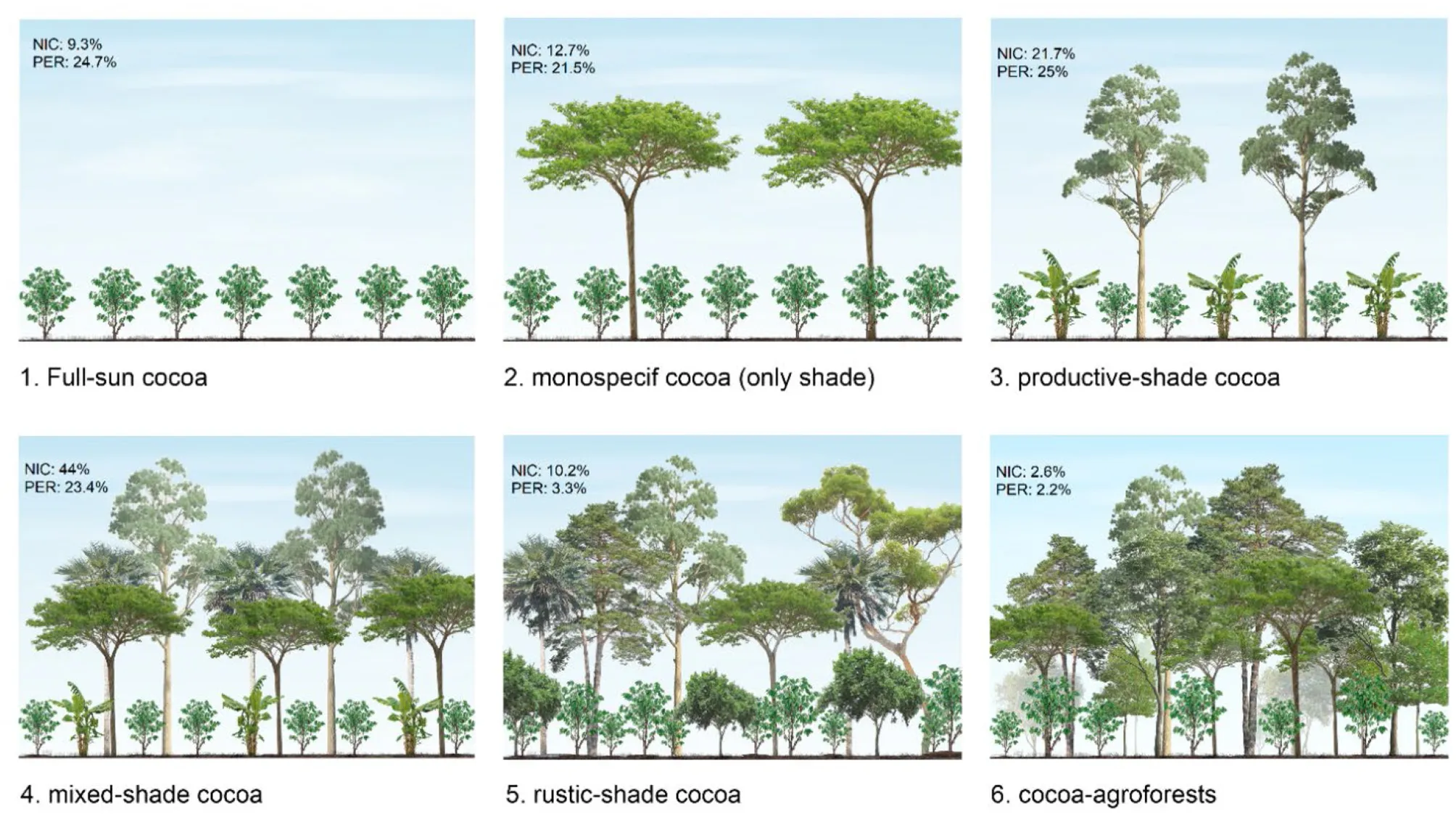 Figure 3 - Different levels of shade in cocoa farms