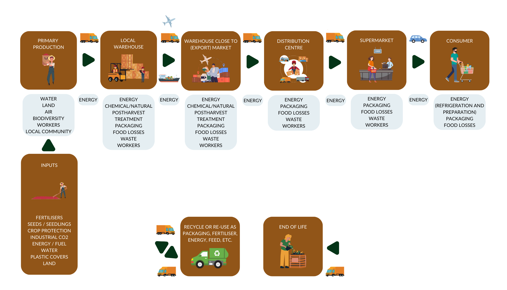 Examples of sustainability impacts along the fresh fruit and vegetable supply chain