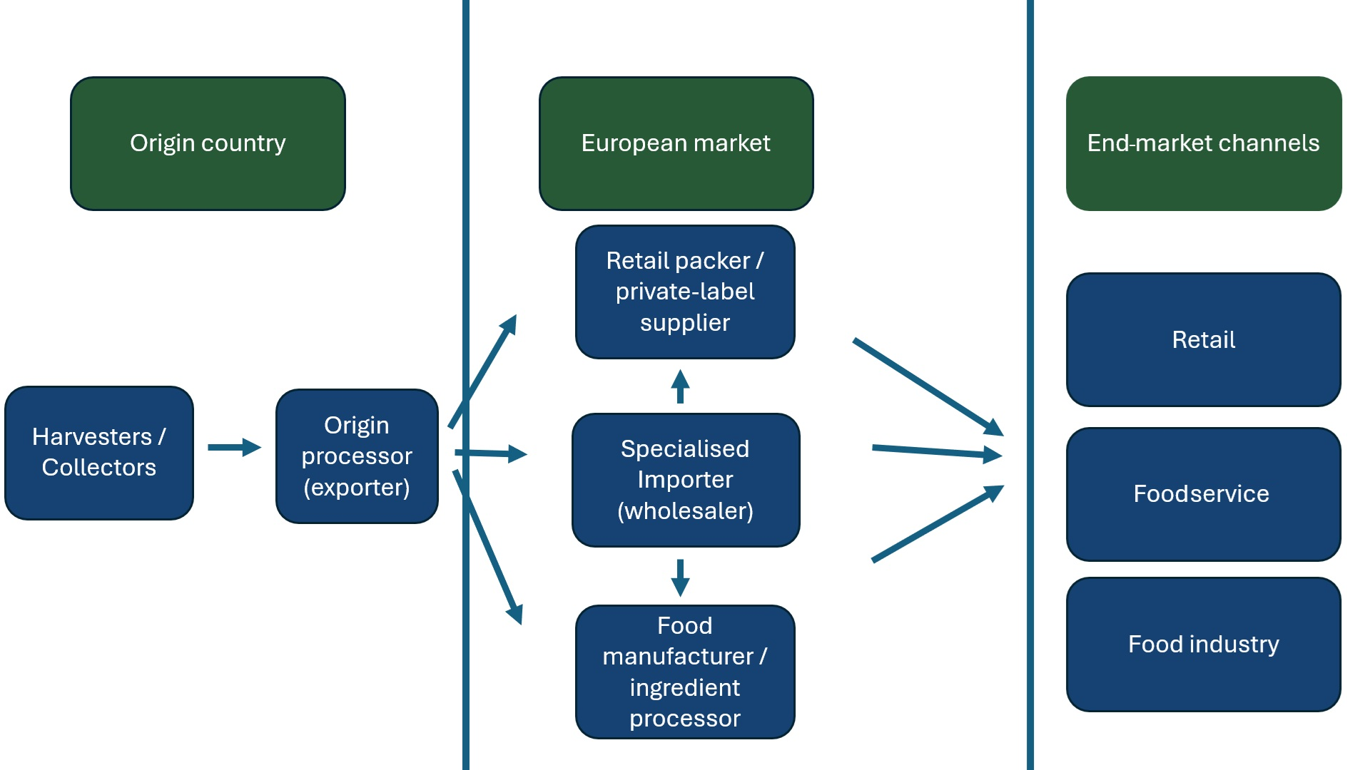 European market channels for pine nuts