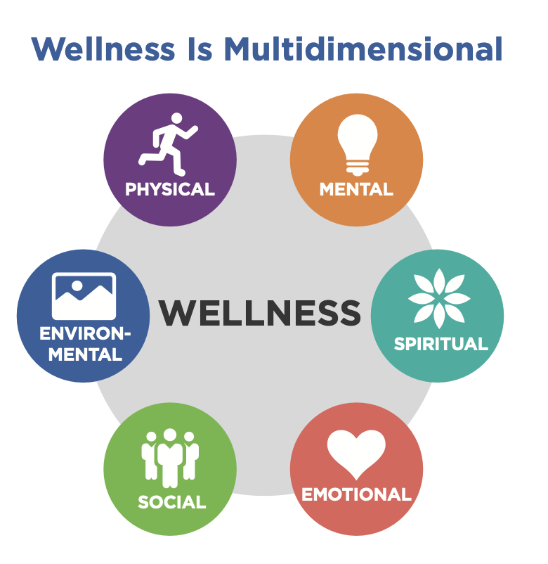 Diagram showing the dimensions of wellnes