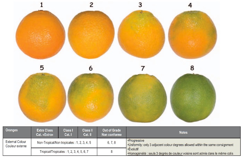 Grading oranges according to external colour