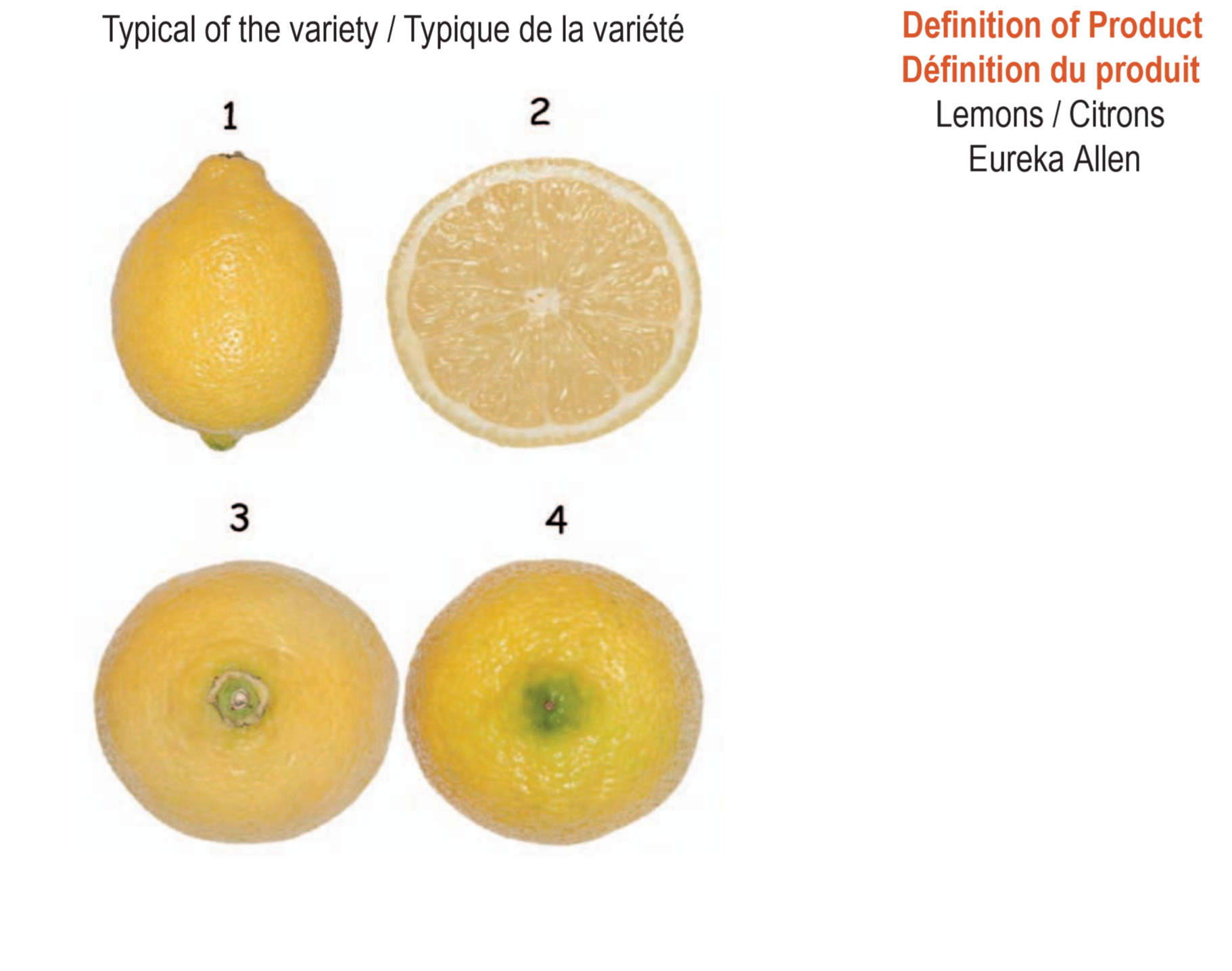 Typical appearance of the Eureka lemon variety