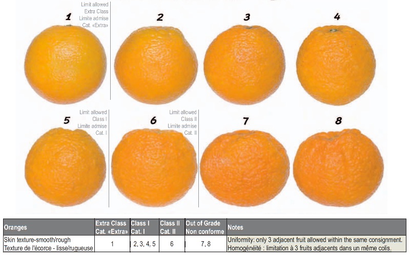  Example of grading oranges according to skin texture