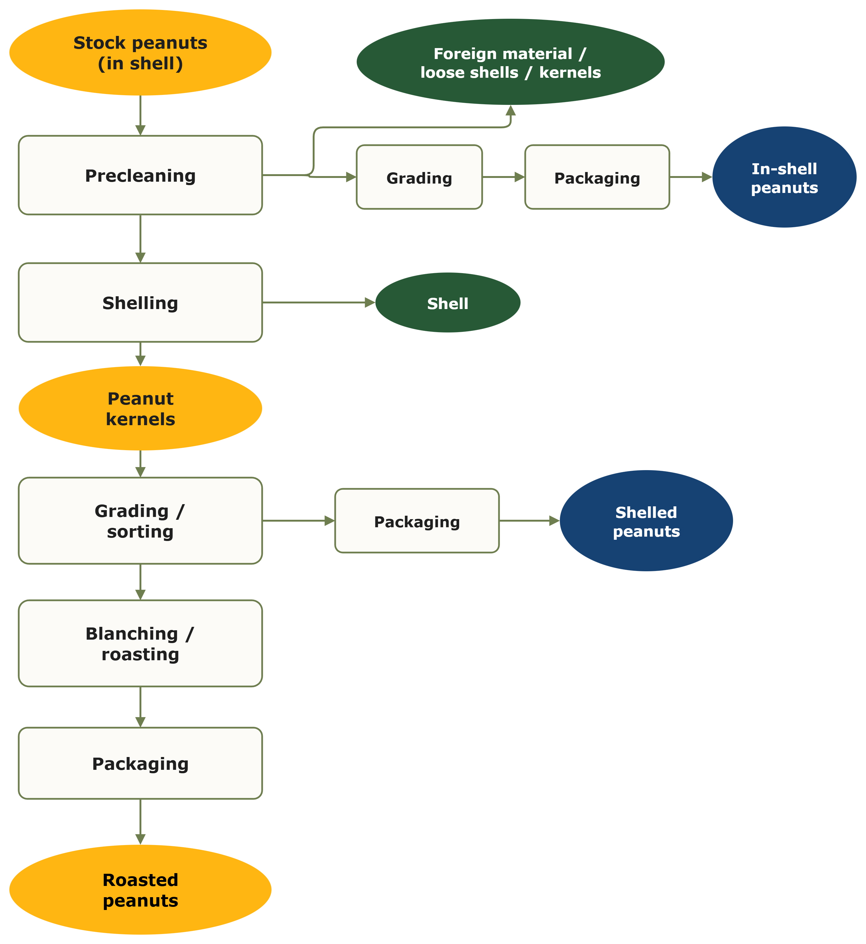 Groundnut processing steps