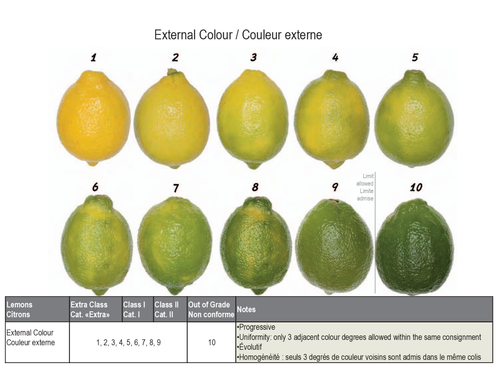  Lemon grading according to external colour