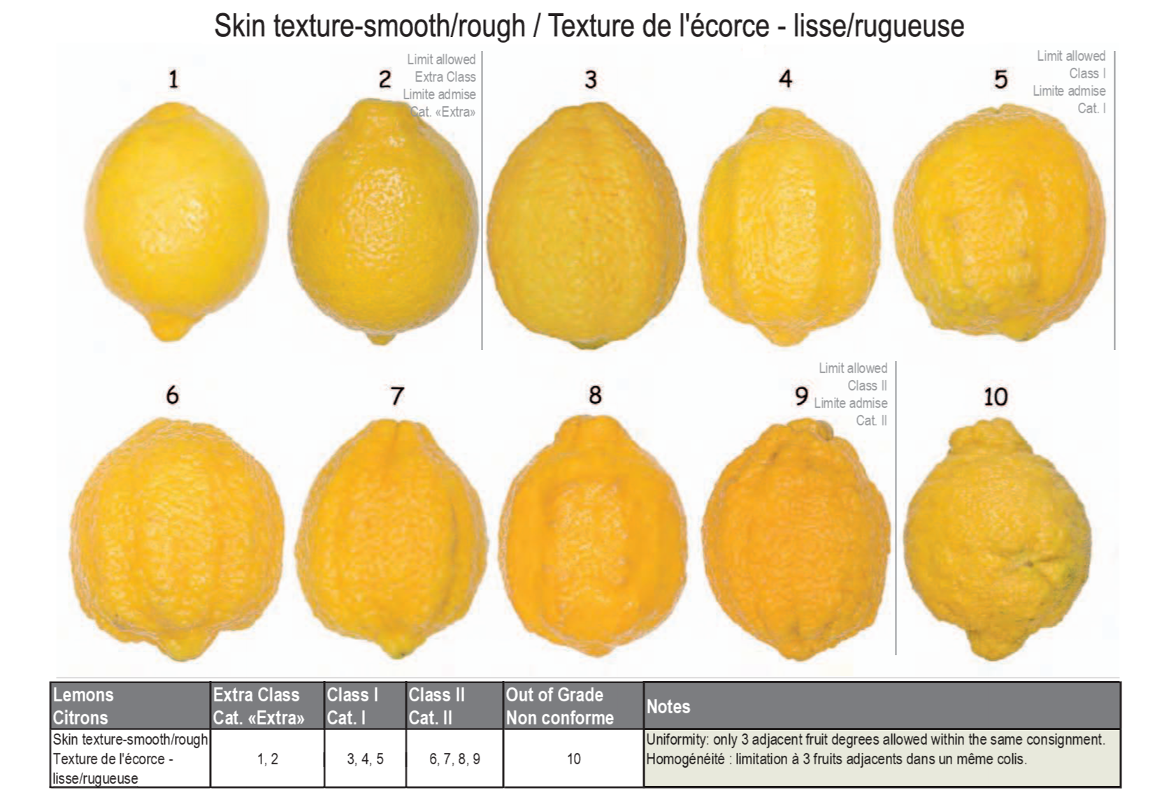  Lemon grading according to skin texture