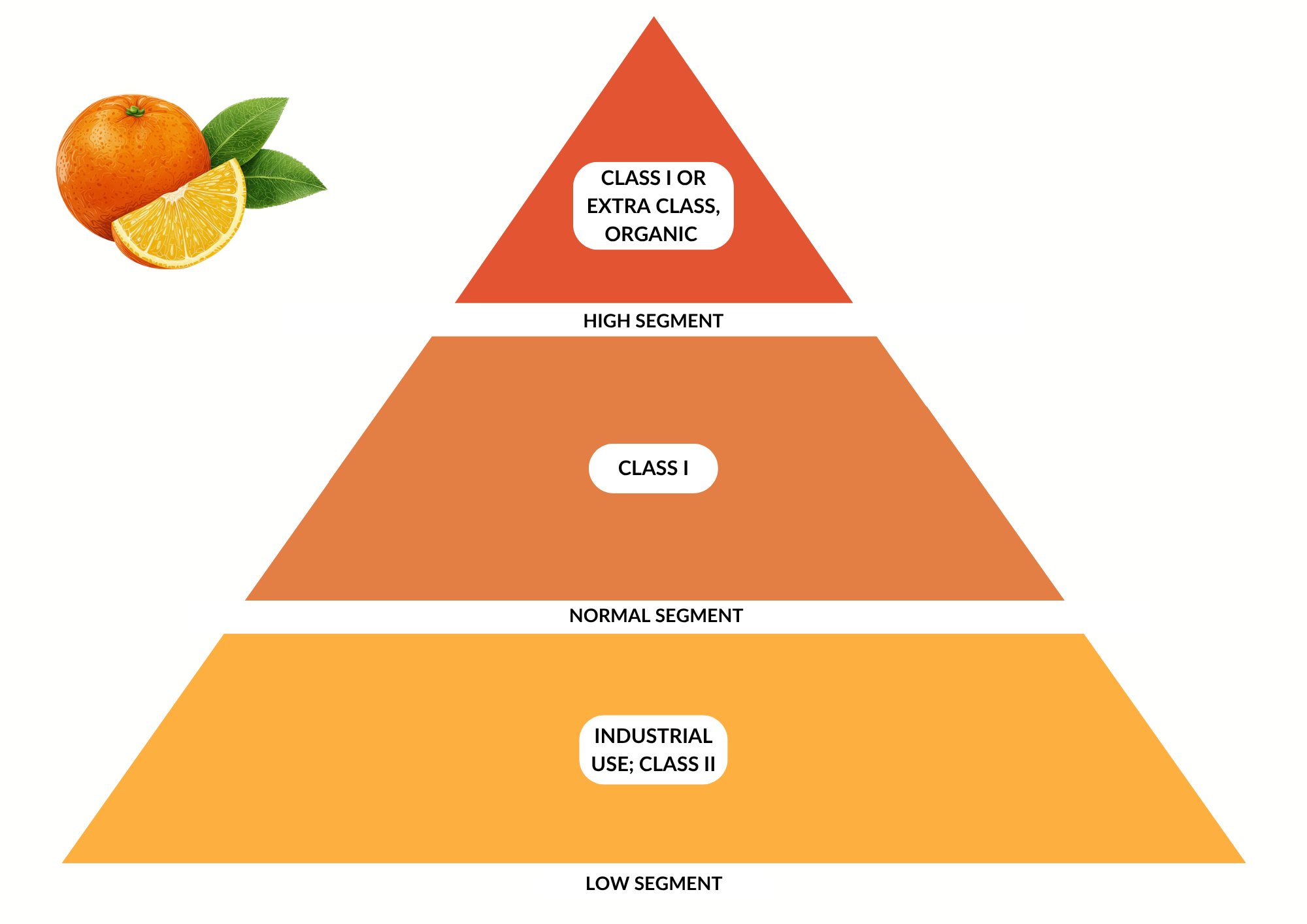Market segments for fresh oranges in Europe