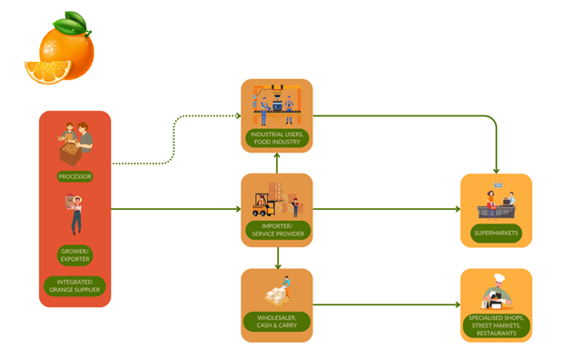Market channels for fresh oranges to Europe