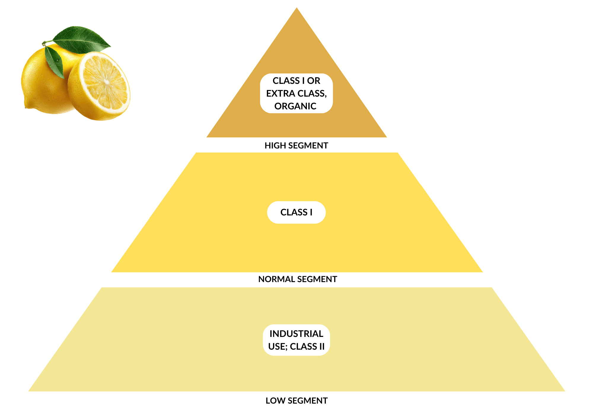 Market segments for fresh lemons in Europe