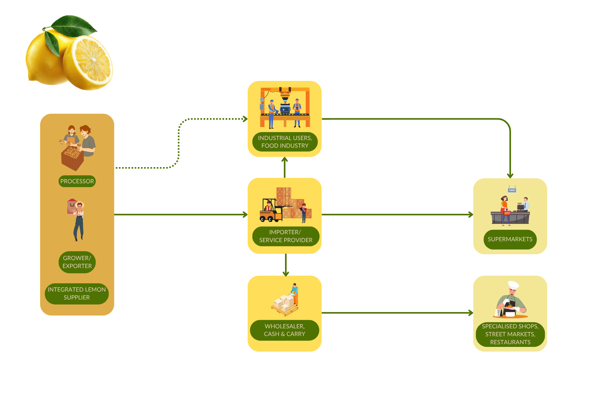 Market channels for fresh lemons to Europe
