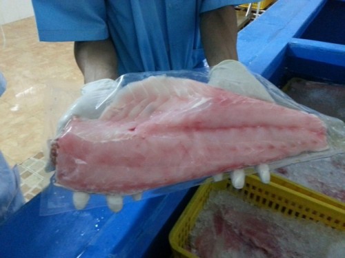 Packed tuna fish