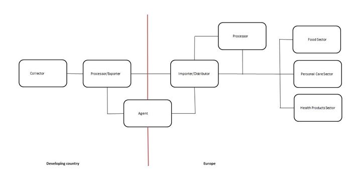 Export Value chain of Coconut and Babassu oil