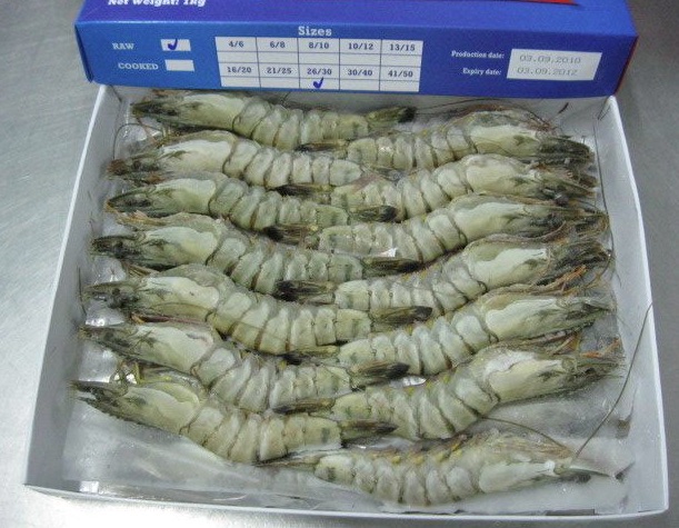 Black Tiger Shrimp Size Chart