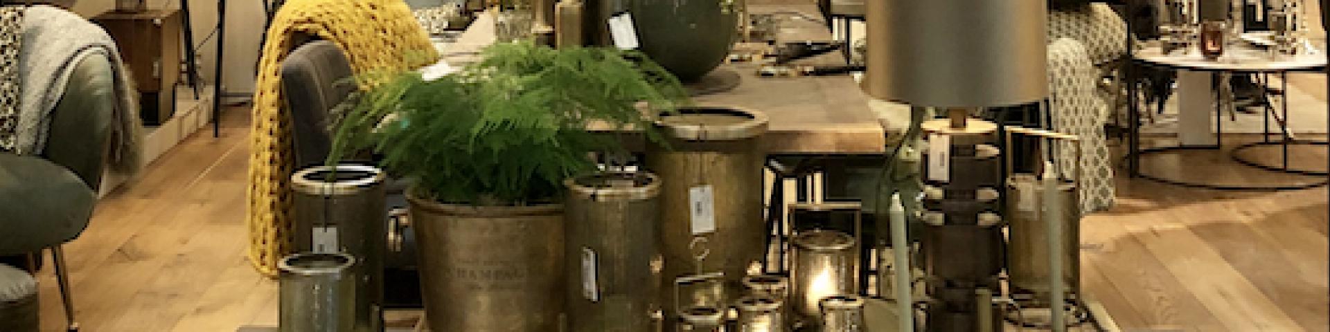 HDHT event jan 2020