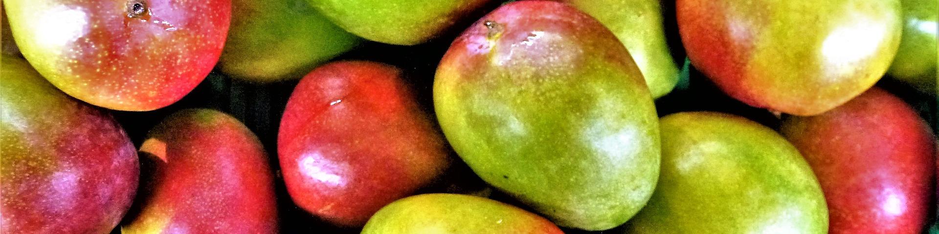 Mango