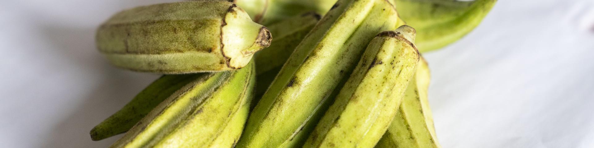 Okra