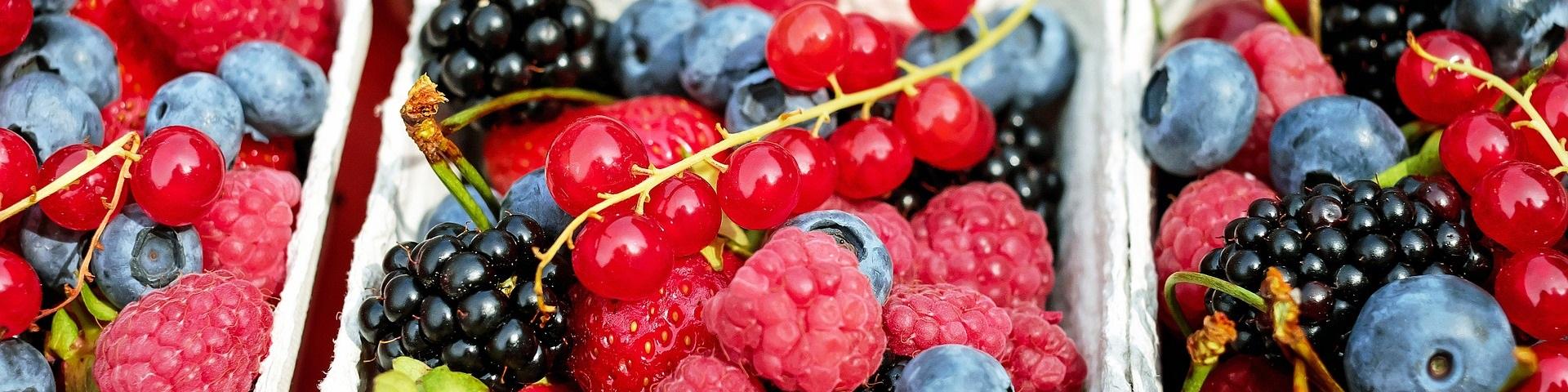 1195798 via Pixabay