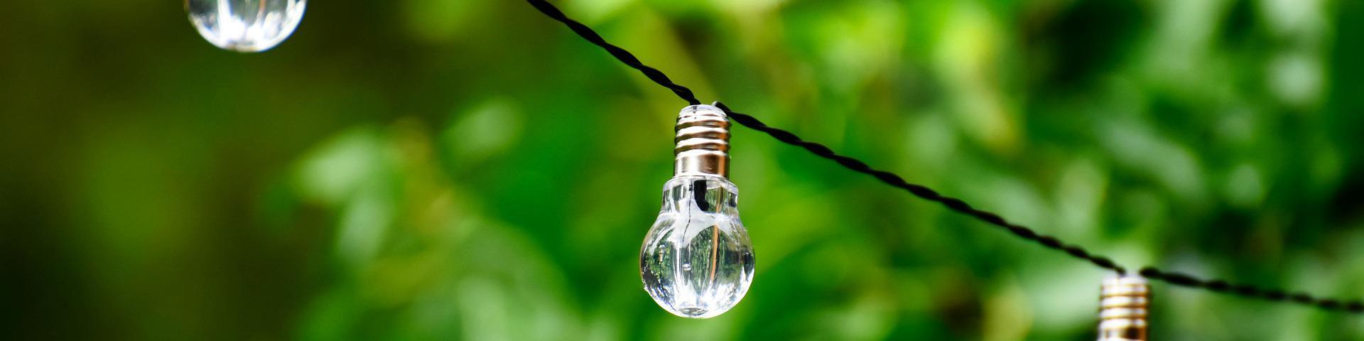 Lightbulbs as garden decoration