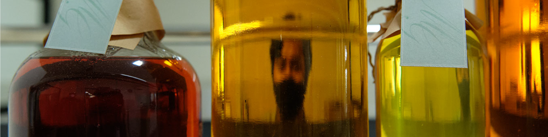 Oil