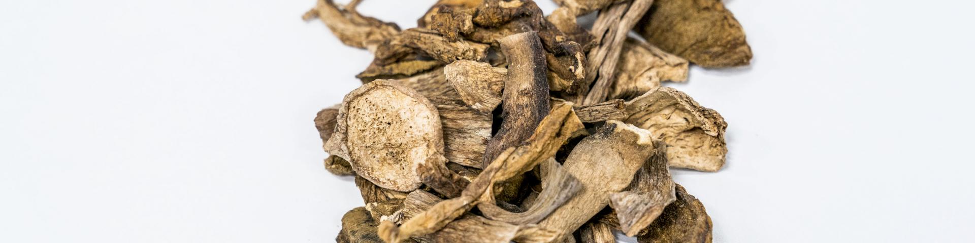 Exporting Dried Mushrooms To Europe Cbi Centre For The Promotion Of Imports From Developing Countries