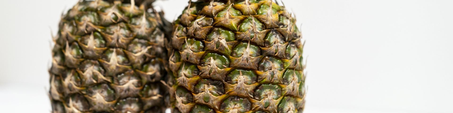 Exporting Fresh Pineapple To Europe Cbi Centre For The Promotion Of Imports From Developing Countries