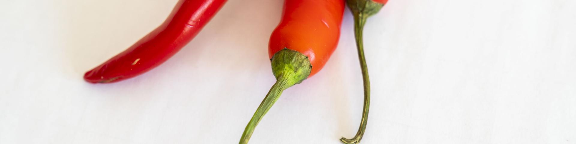 Exporting Chilli Peppers To Europe Cbi Centre For The Promotion Of Imports From Developing Countries