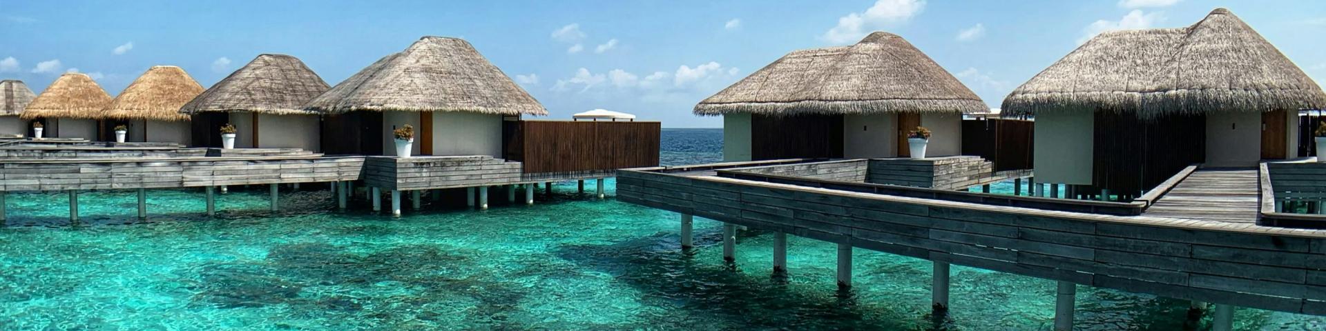 2024-Honeymoons---Banner-for-whole-study.jpg