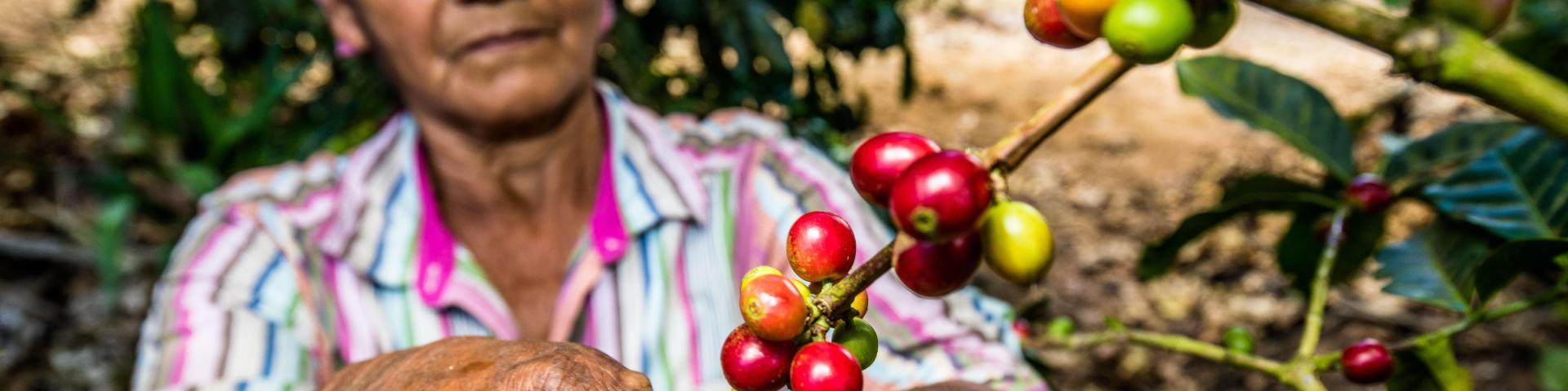 8 tips on how to become more socially responsible in the coffee sector - CBI Market Information