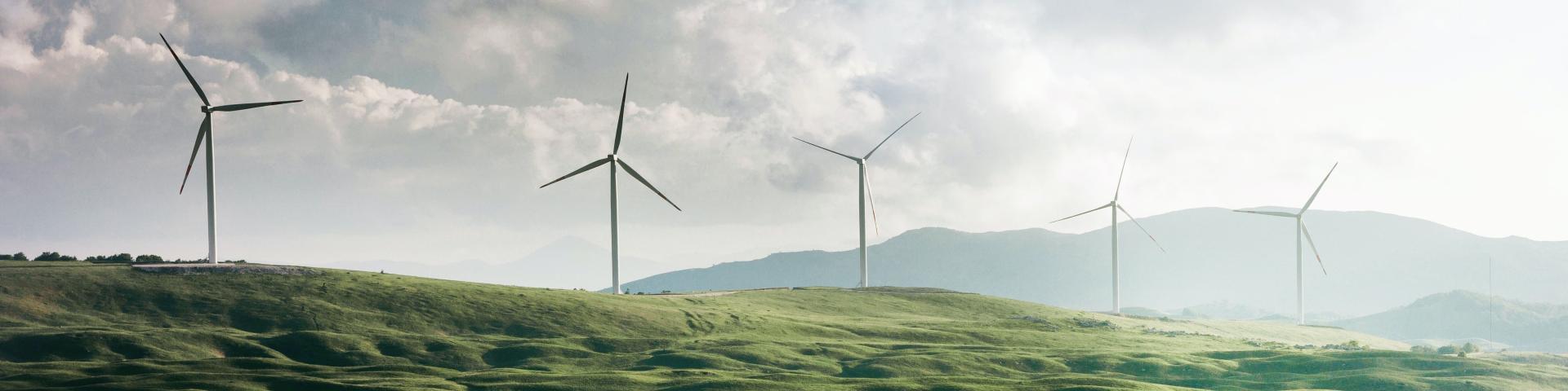 8 tips on how to go green in the home decoration and home textiles sector - CBI Market Information