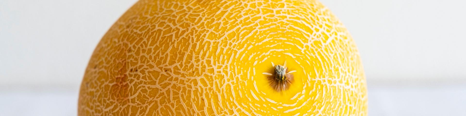 A fresh galia melon against a white background