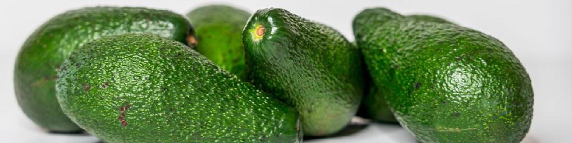 The Cost of Avocado Production