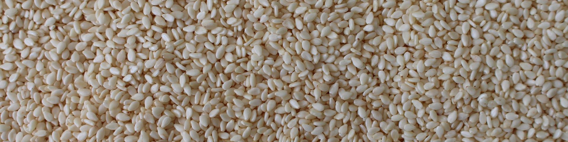 Banner Sesame seed oil Monfocus via Pixabay