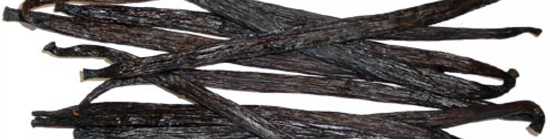 Banner vanilla