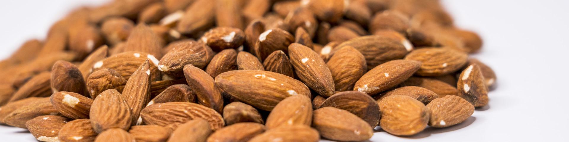 Exporting Almonds To Europe Cbi