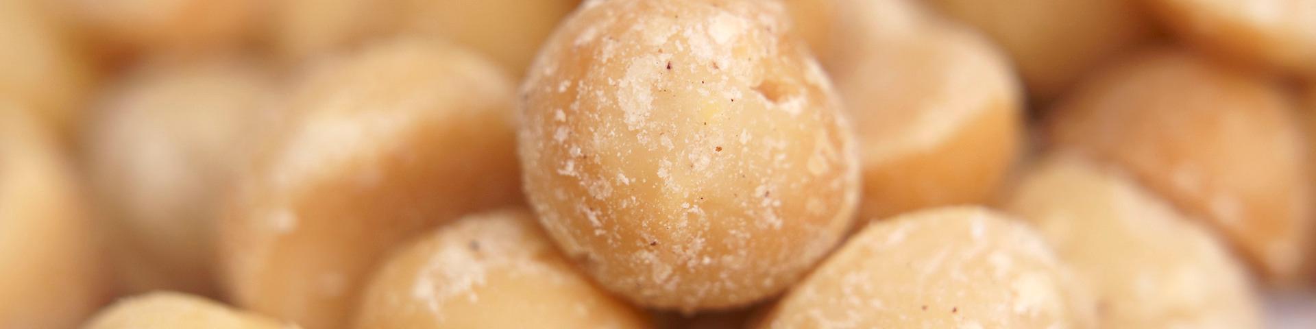 Entering The European Market For Macadamia Nuts Cbi