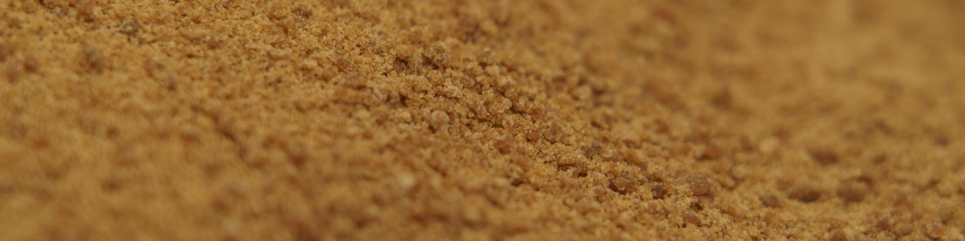 coconutsugar2