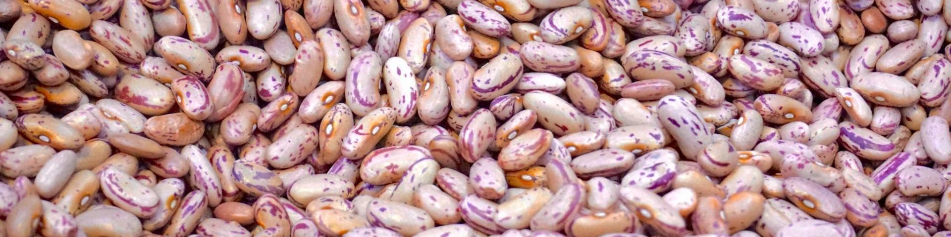 Close-up of a pile of beans