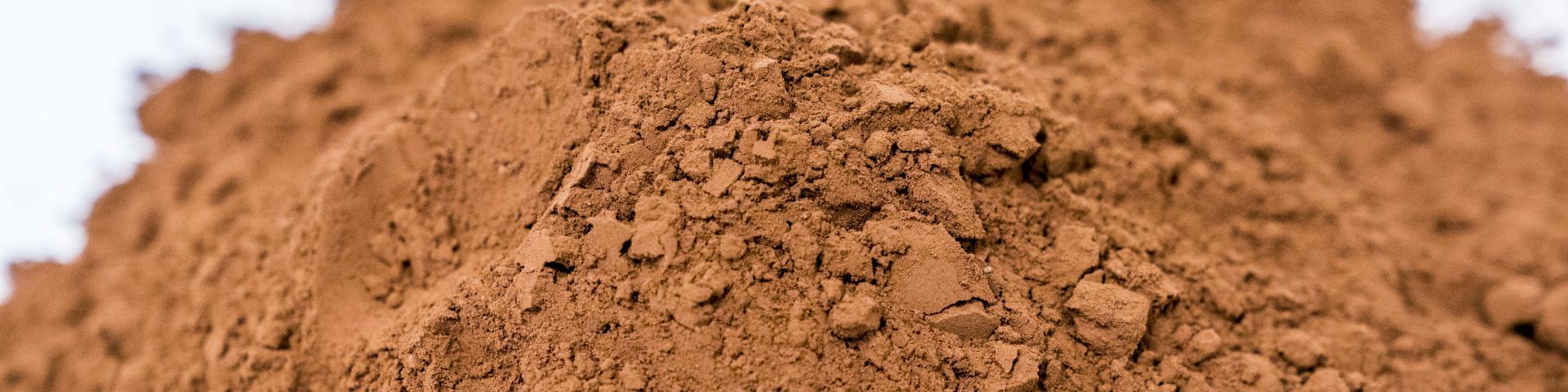 Close-up of cocoa powder against a white background