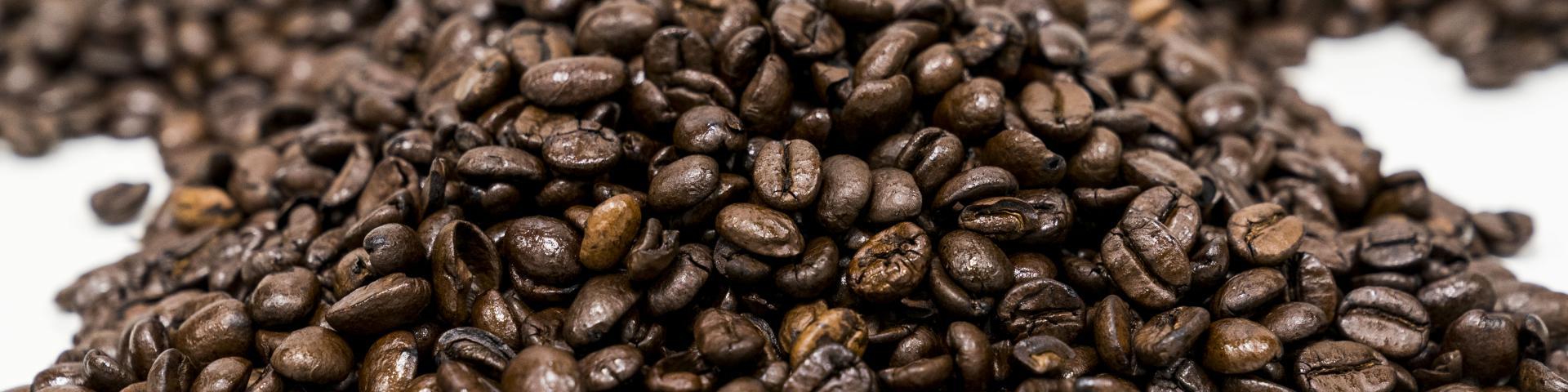 Close-up of roasted Arabica coffee beans against a white background