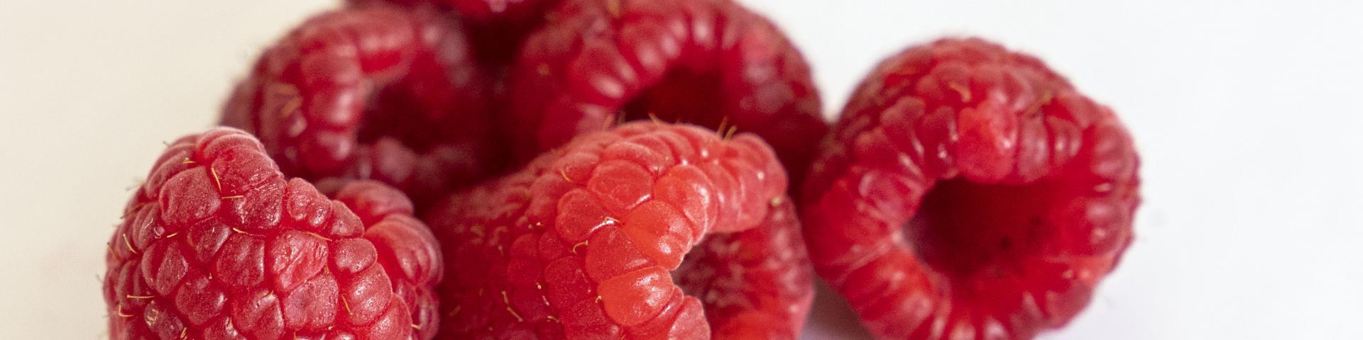 Close-up of six fresh raspberries against a white background