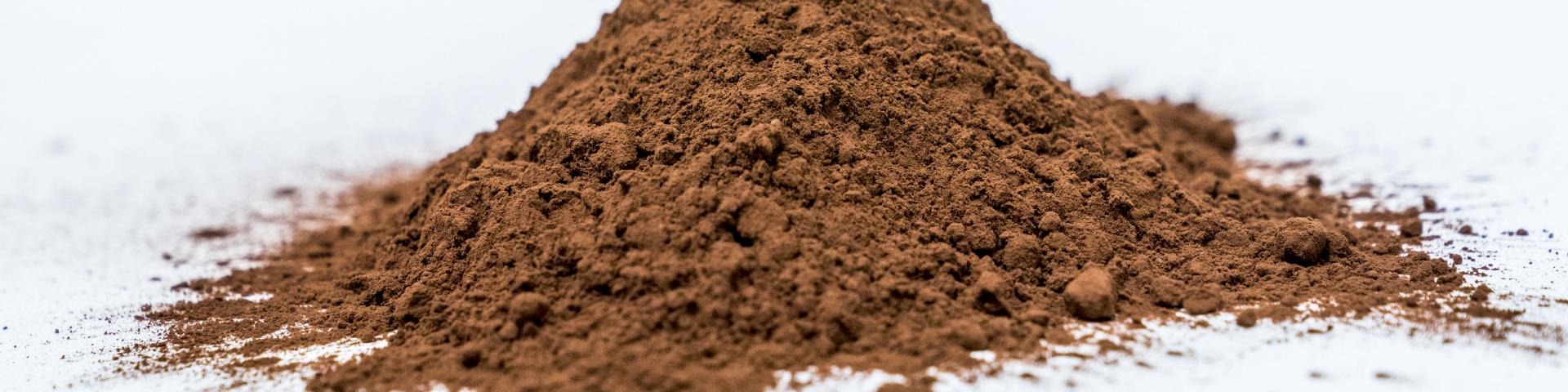 Cocoa1