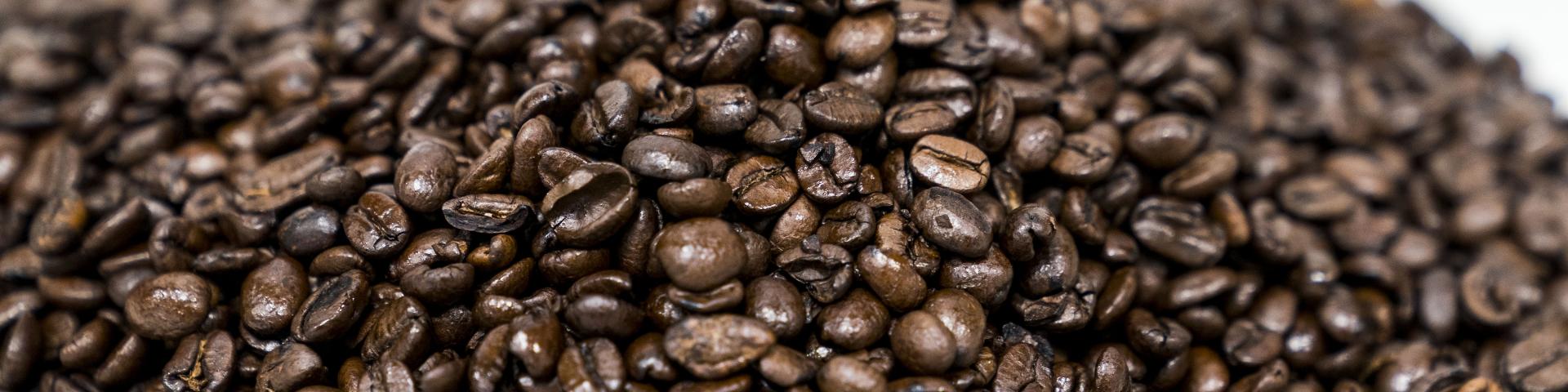 Conilon coffee: A roaster's guide to its potential