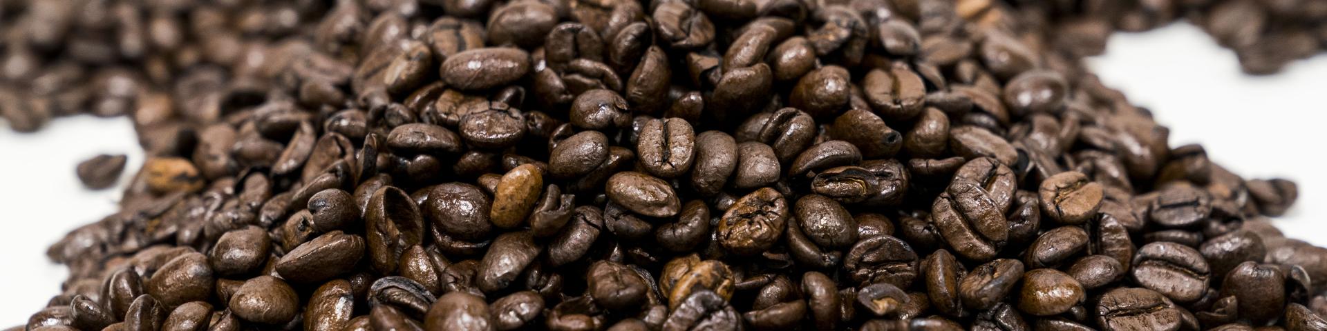 Coffee0042Arabica.jpg