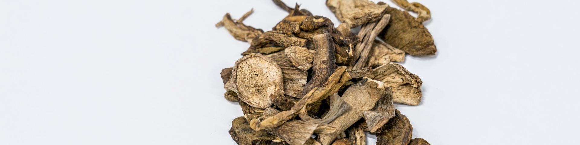Dried mushrooms