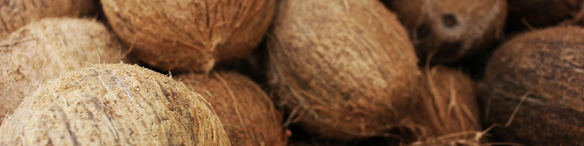 Entering the European market for coconut milk - CBI Market Information