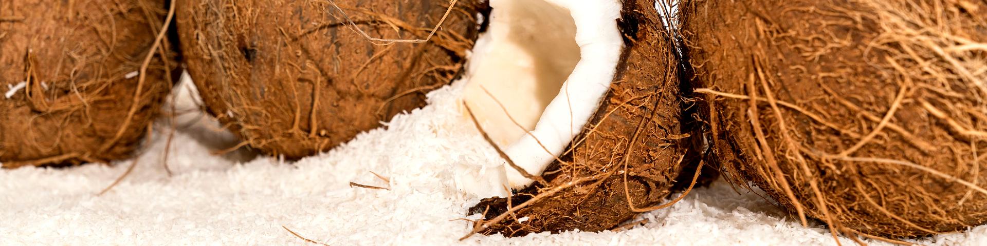 Exporting desiccated coconut to Europe - CBI Market Information