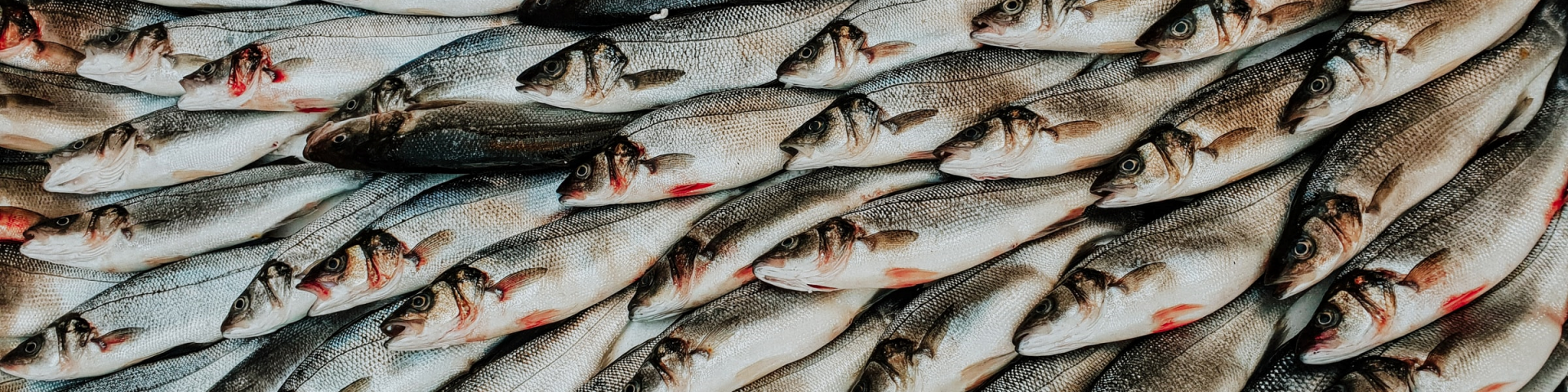 What Trends Offer Opportunities Or Pose Threats To The European Fish And Seafood Market Cbi