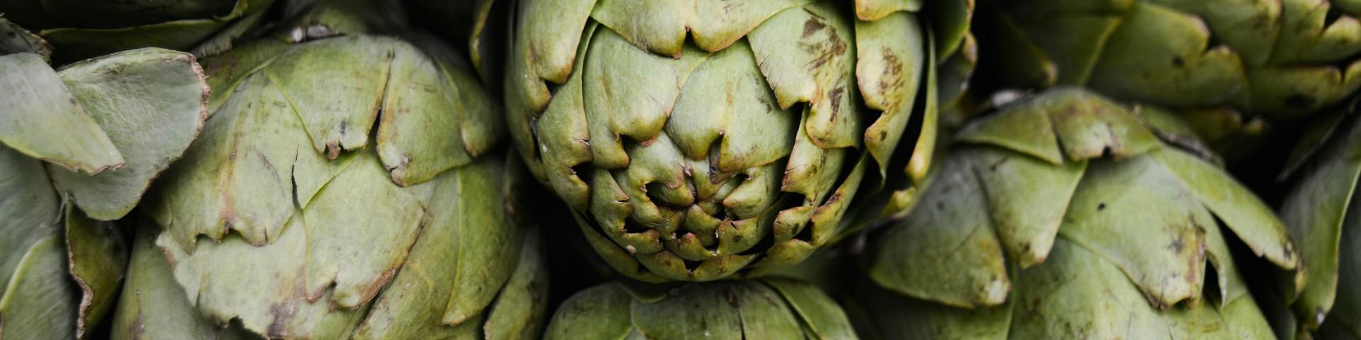Fresh green artichokes